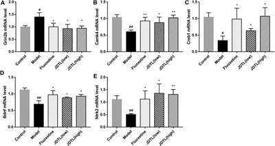 Jiedu Tongluo Granules Ameliorates Post-stroke Depression Rat Model via Regulating NMDAR/BDNF Signaling Pathway